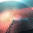 La biométrie de l’empreinte digitale : tout ce que vous devez savoir