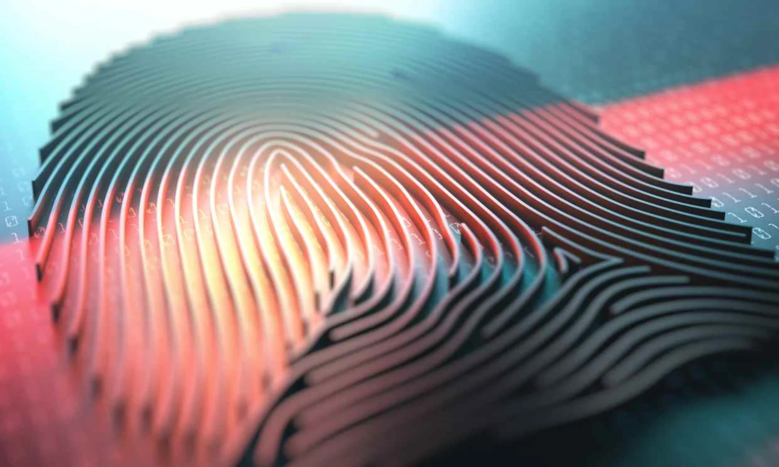 La biométrie de l’empreinte digitale : tout ce que vous devez savoir
