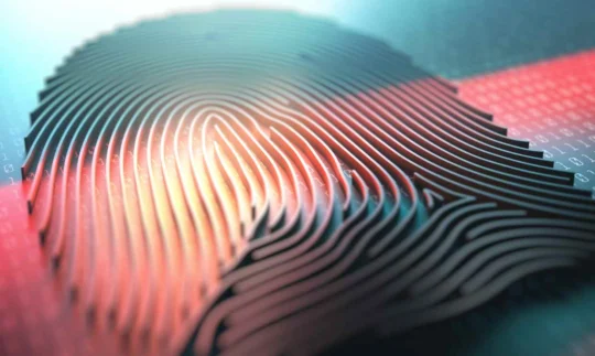 La biométrie de l’empreinte digitale : tout ce que vous devez savoir